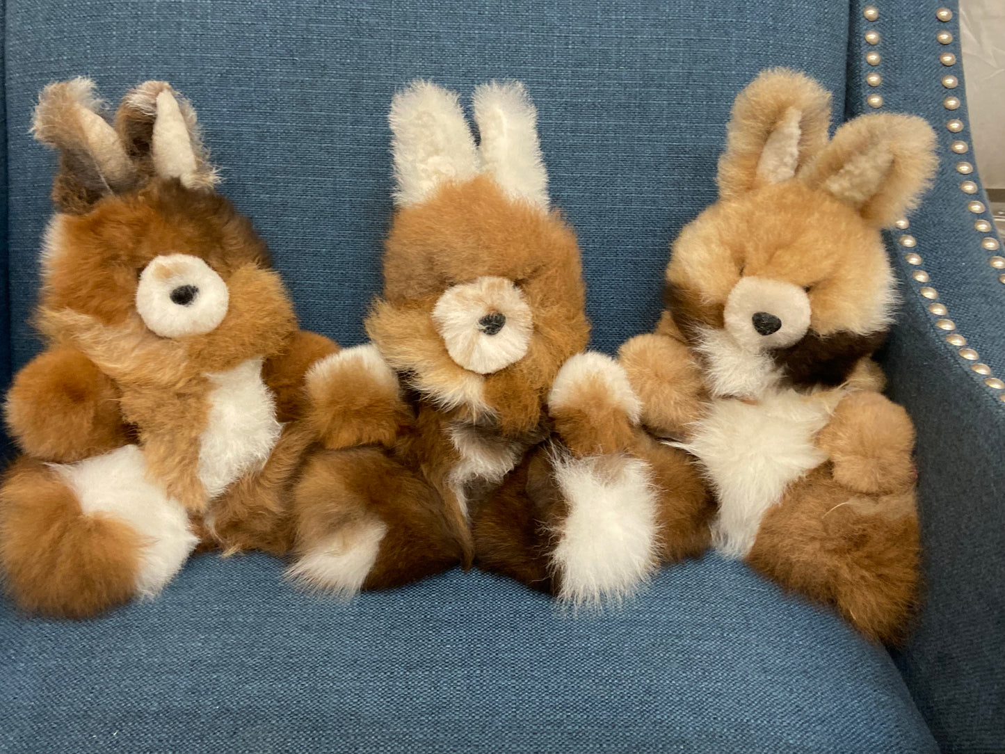 Fur Alpaca Bunnies | Stuffie