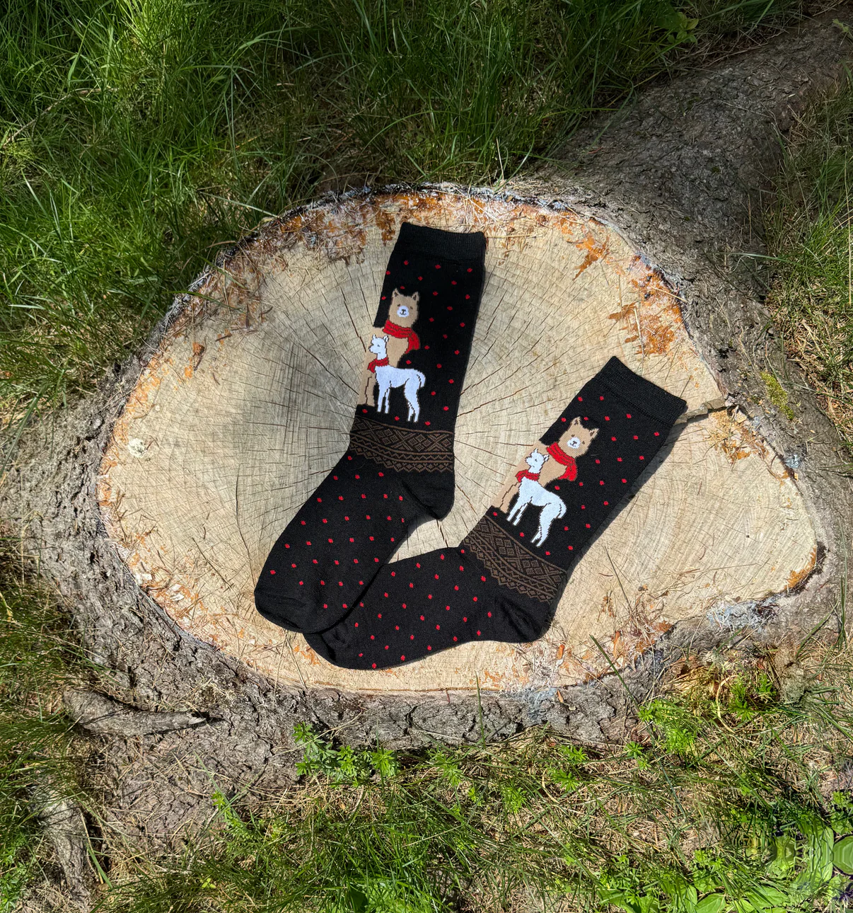 Christmas Alpaca & Cria Sock