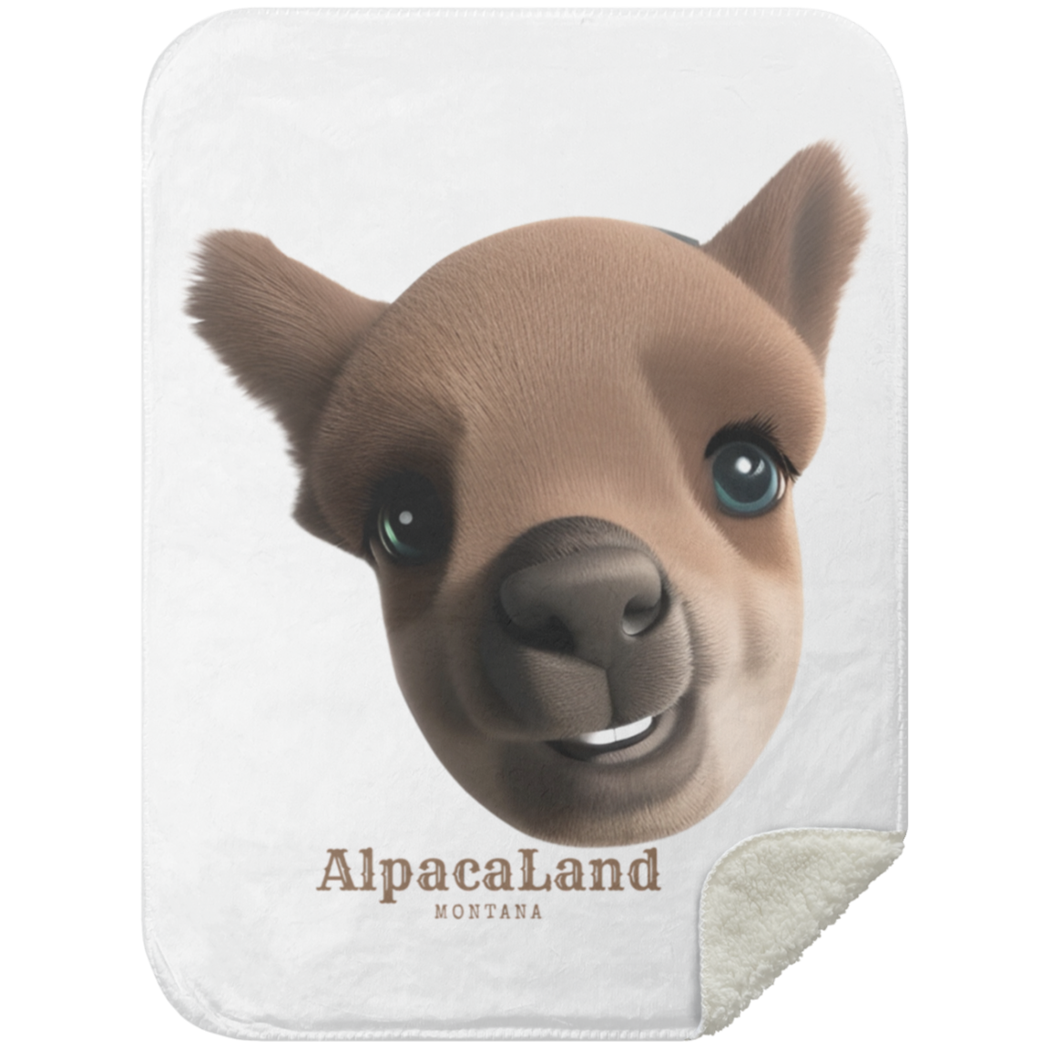 Everest Premium Sherpa Blanket 30x40