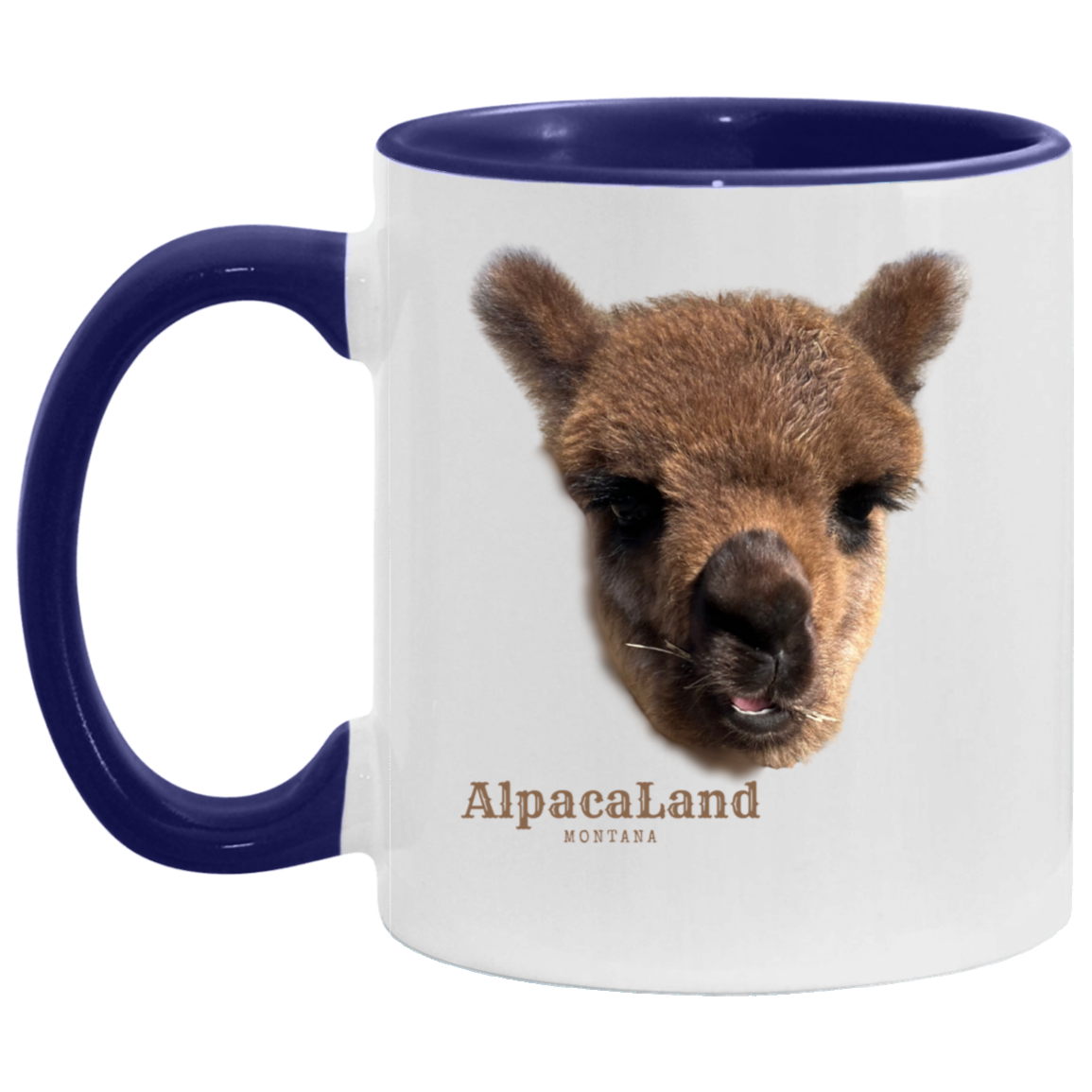 Everest Live Face 11oz Accent Mug