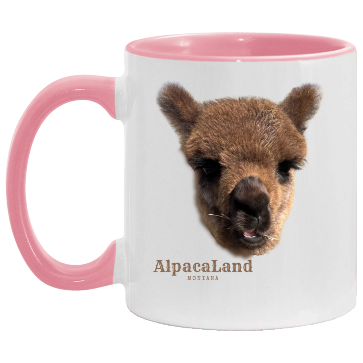Everest Live Face 11oz Accent Mug