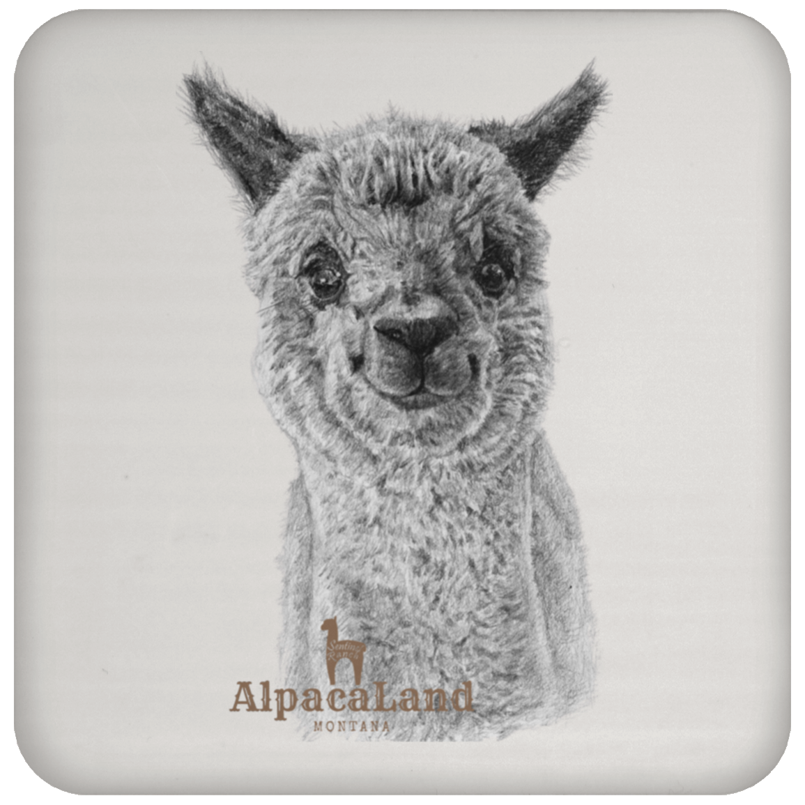 AlpacaLand Coaster