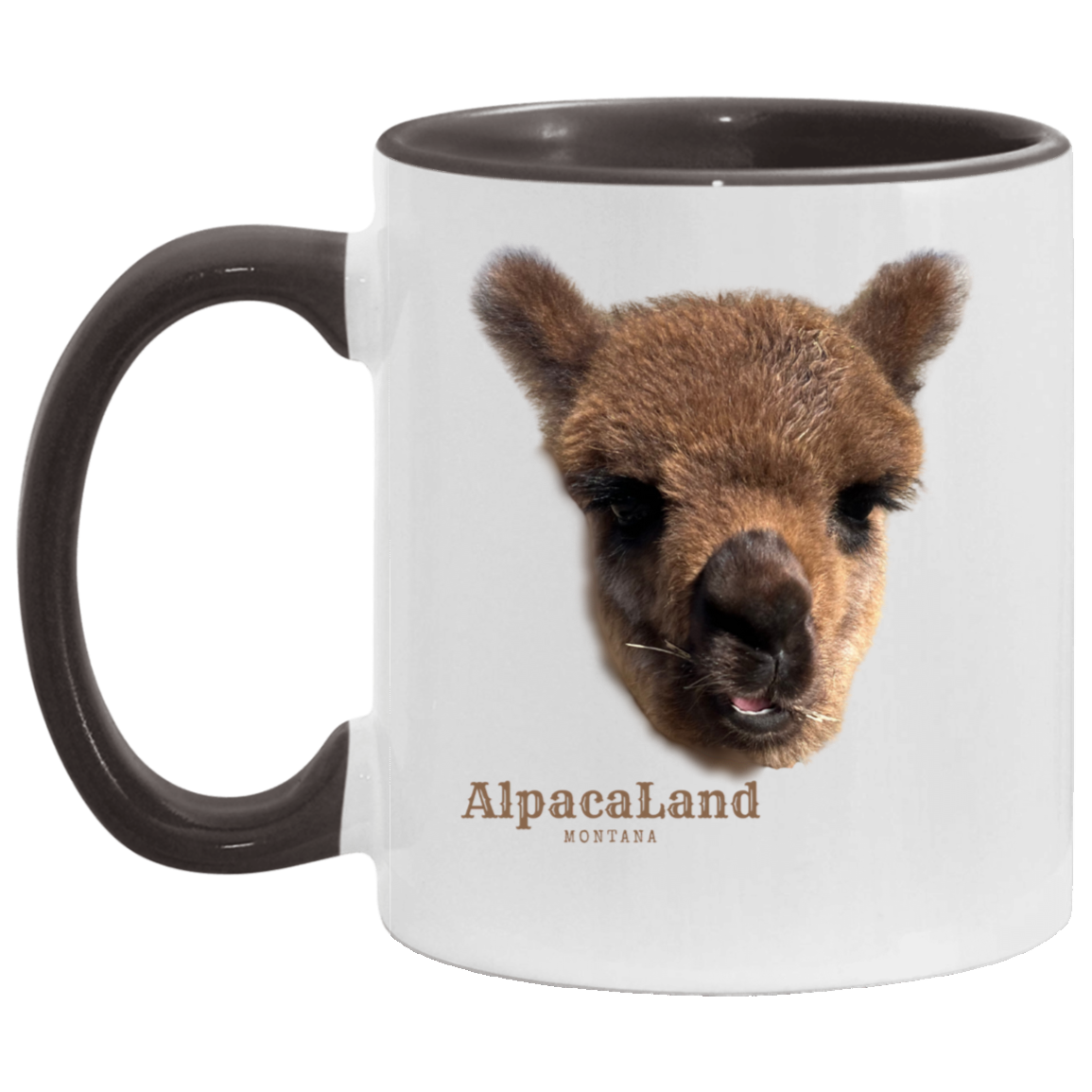 Everest Live Face 11oz Accent Mug