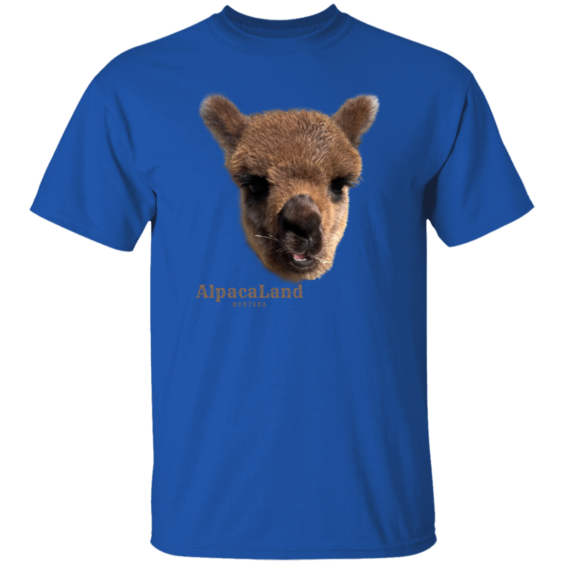 Everest T-Shirt