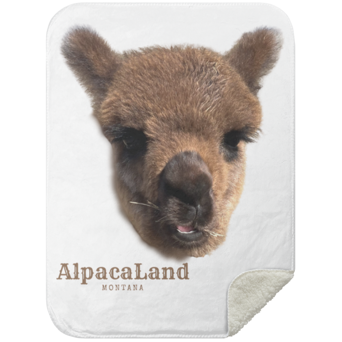 Everest Premium Sherpa Blanket 30x40