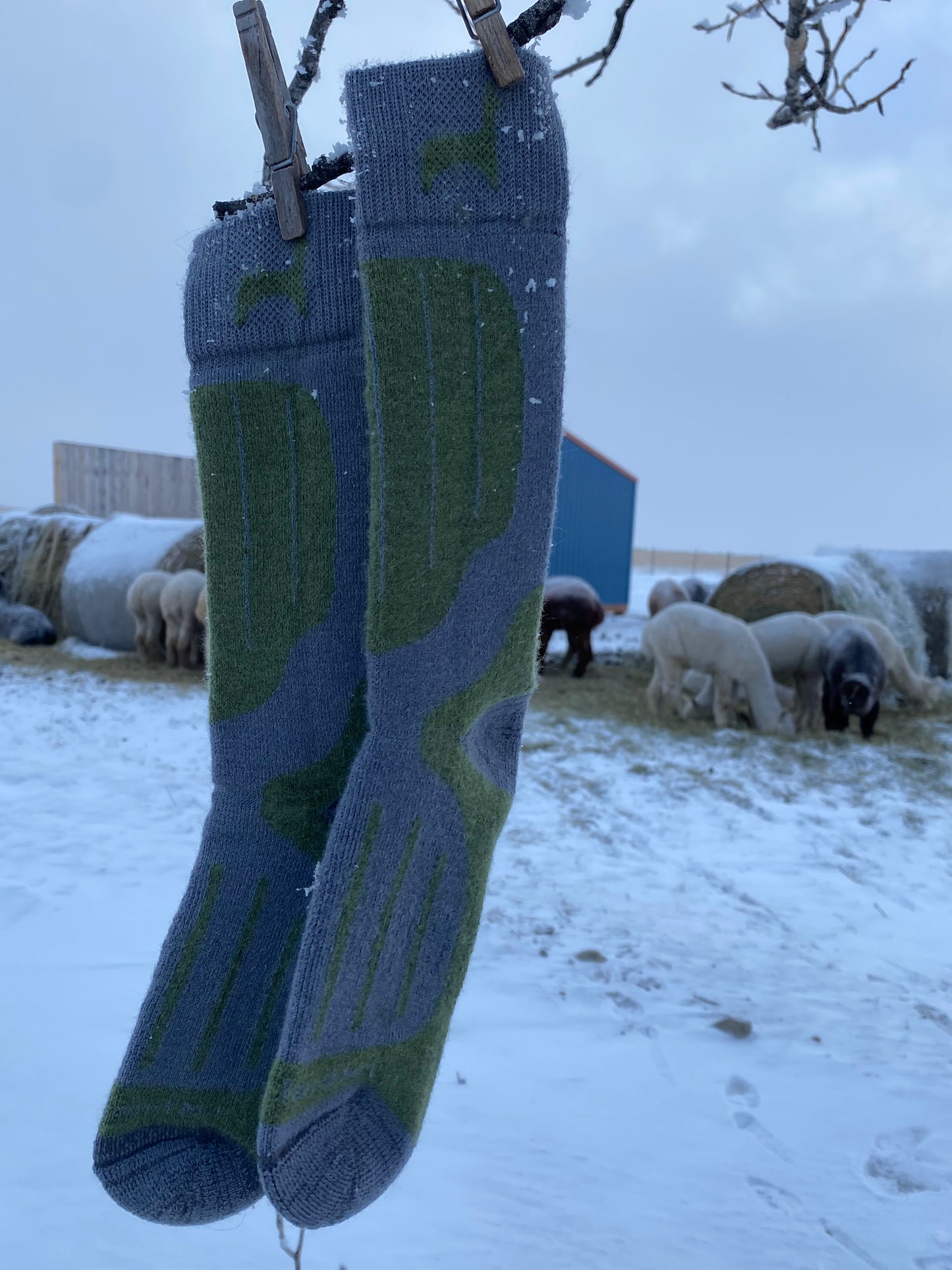 Alpaca Sock | Fun Outdoor