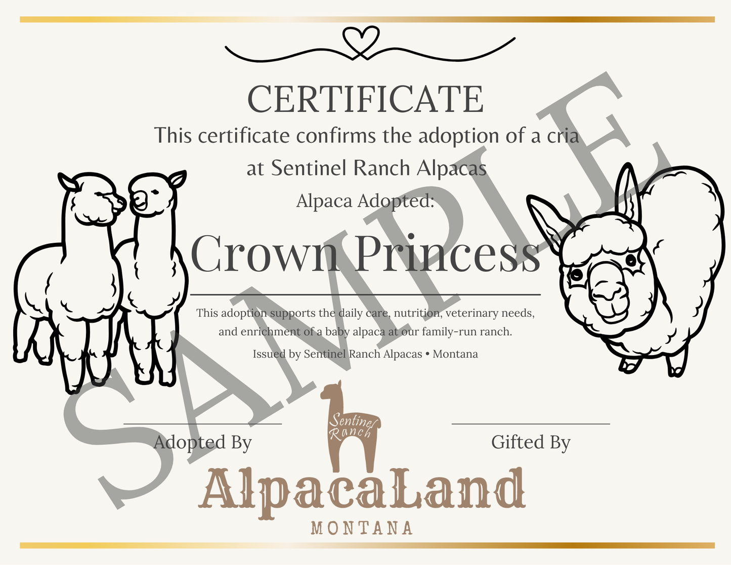 Adopt a Cria – Sentinel Ranch Alpacas