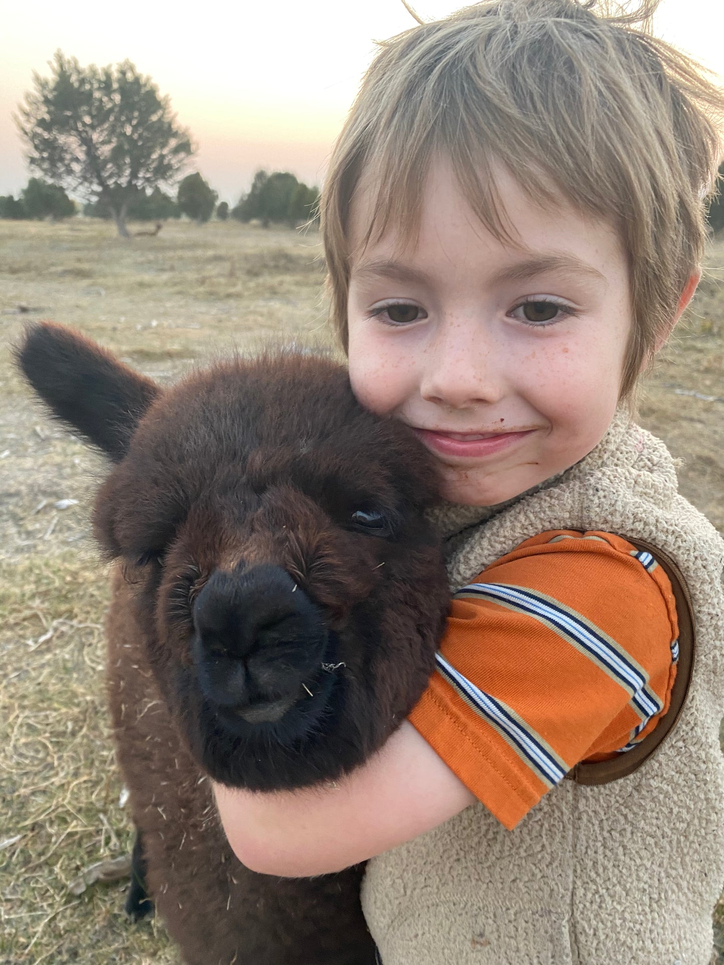 Donate | Alpaca Giving