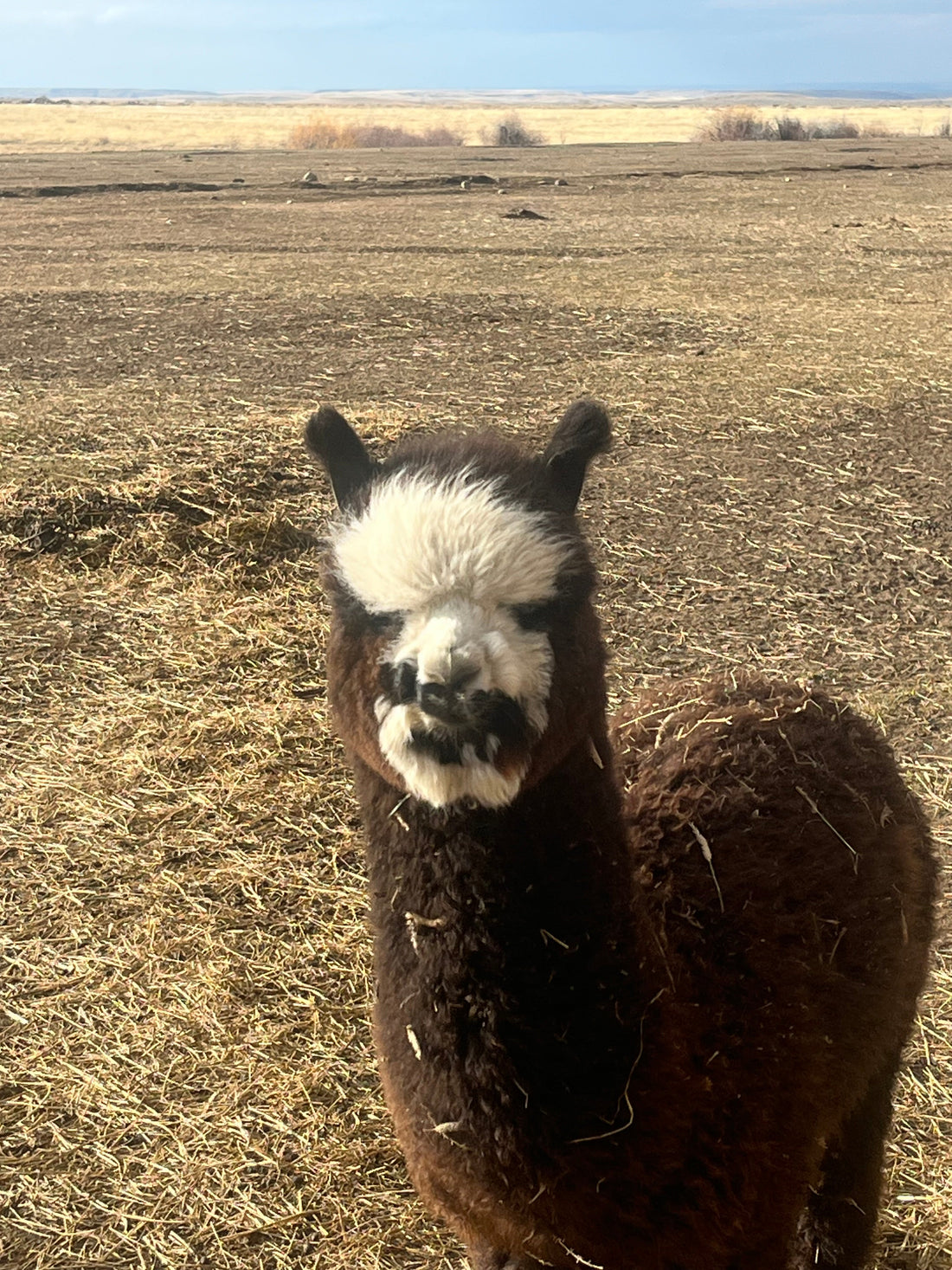 Not Babies Anymore: How Yearlings Change in the Spring