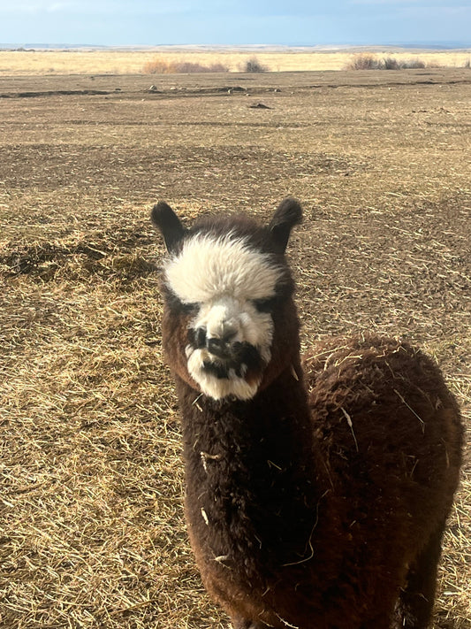 Not Babies Anymore: How Yearlings Change in the Spring