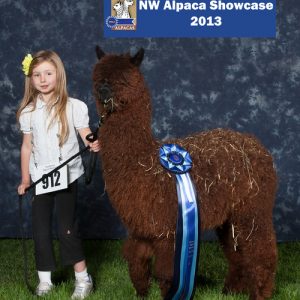 Donate | Alpaca Giving