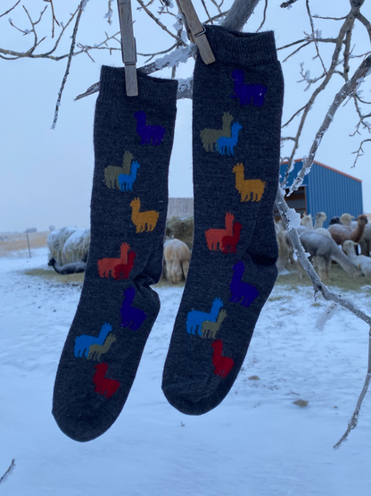 Rainbow Alpaca Herd Sock | NEW