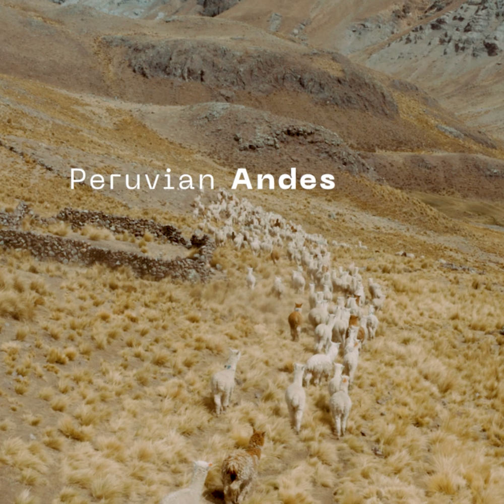 Alpafill Puffer Alpaca Coat | Women's