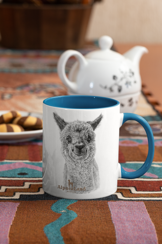 AlpacaLand 11 oz. Accent Mug